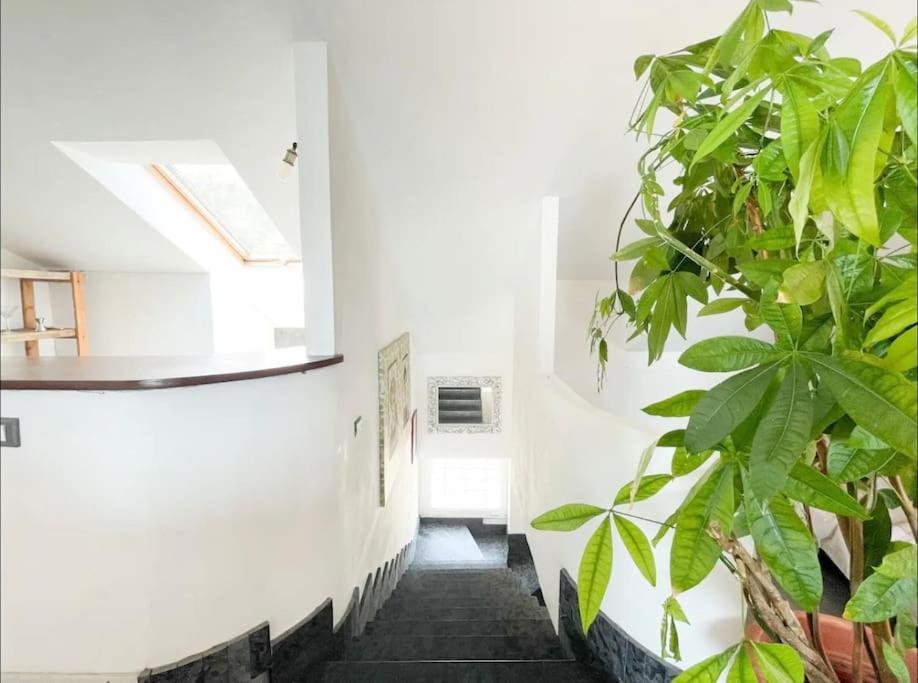 Mansarda Vista Mare A Zinola Apartment Savona Luaran gambar